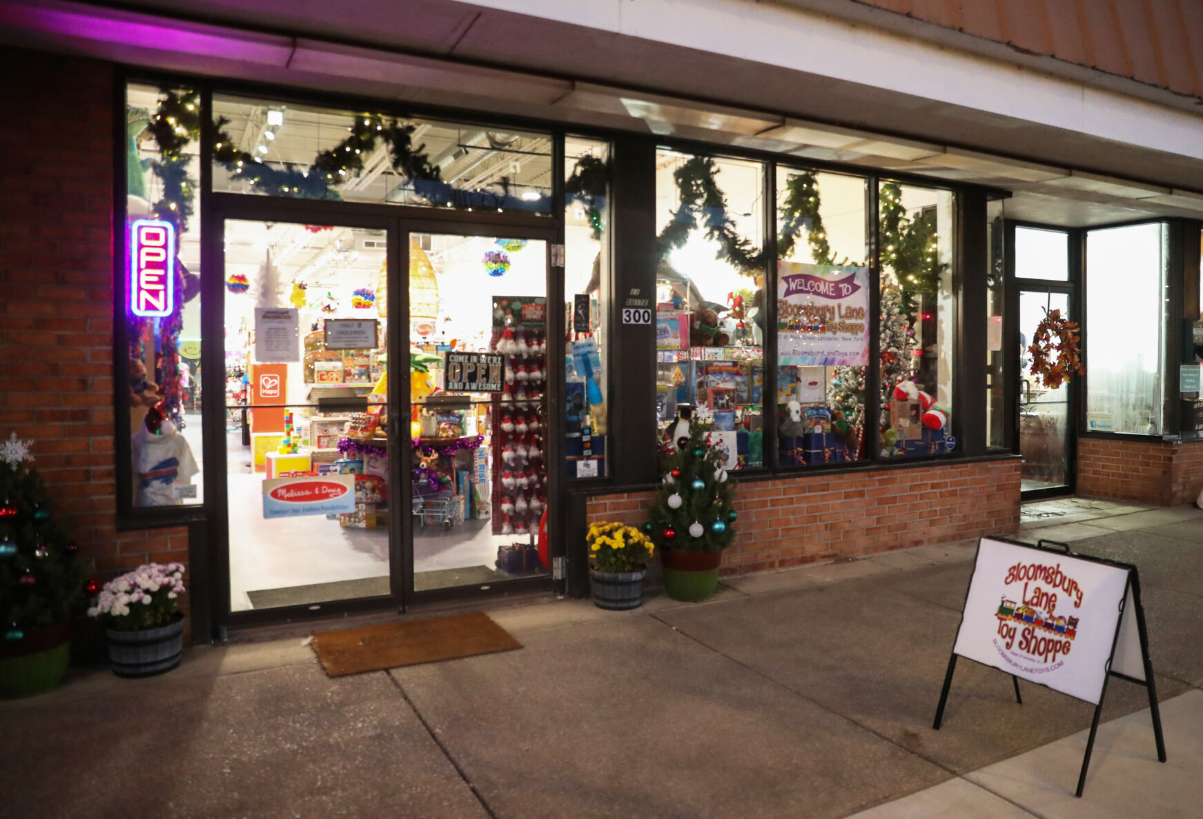 Bloomsbury Lane Toy Shoppe